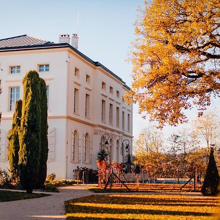 Chateau De Longpre Varilhes 外观 照片